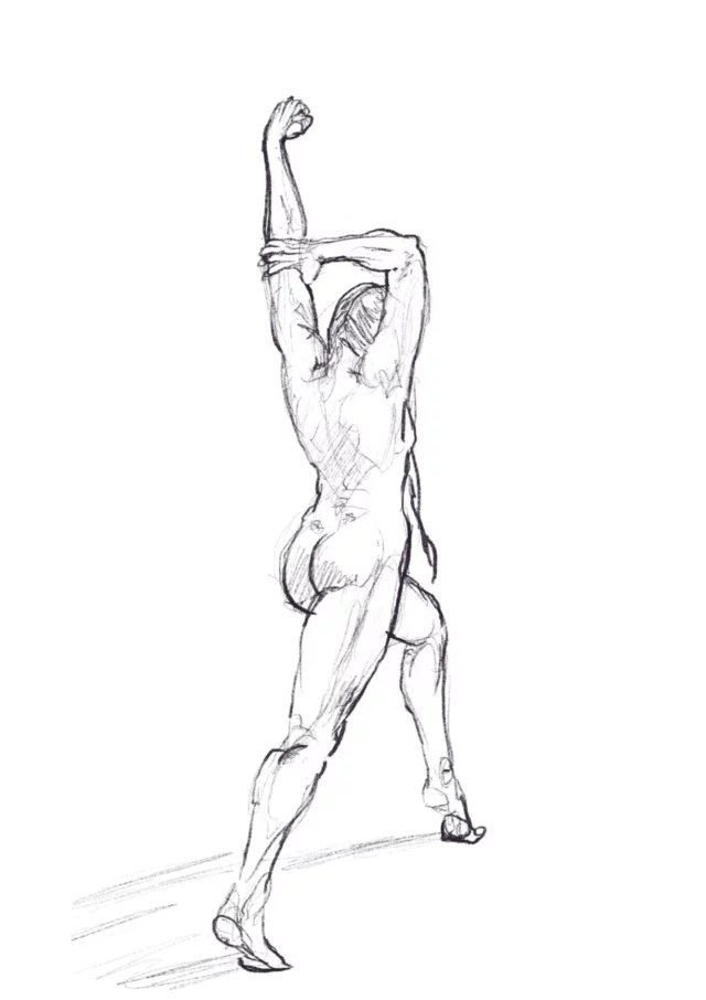 a pencil anatomy study of a nude figure seen from behind, standing in a wide stance with one arm extended overhead and the other bent across it