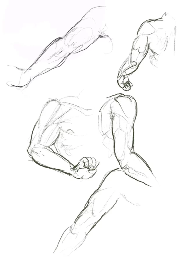 a pencil study sheet with five arm and shoulder sketches showing muscle contours from different angles, including bent elbows and clenched fists